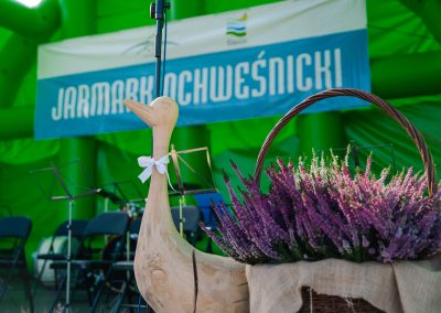 14 Jarmark Ochweśnicki w Ślesinie - 27.09.2026