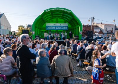 14 Jarmark Ochweśnicki w Ślesinie - 27.09.2026