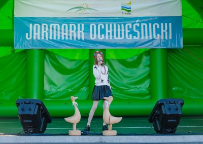 14 Jarmark Ochweśnicki w Ślesinie - 27.09.2026