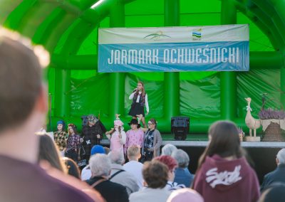 14 Jarmark Ochweśnicki w Ślesinie - 27.09.2026