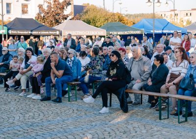 14 Jarmark Ochweśnicki w Ślesinie - 27.09.2026